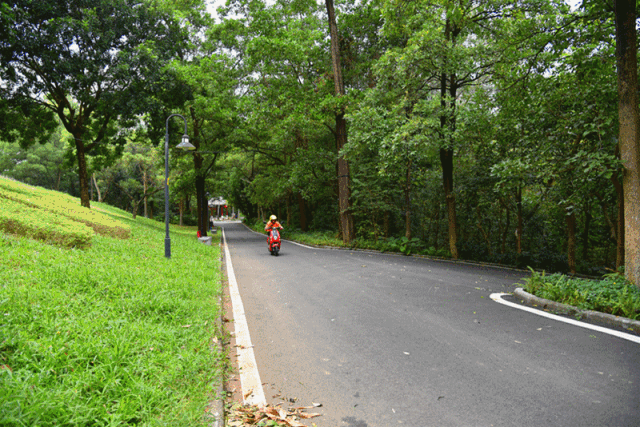 1546910973927001265.gif 6.gif