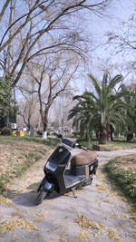 1678157103381005714.gif